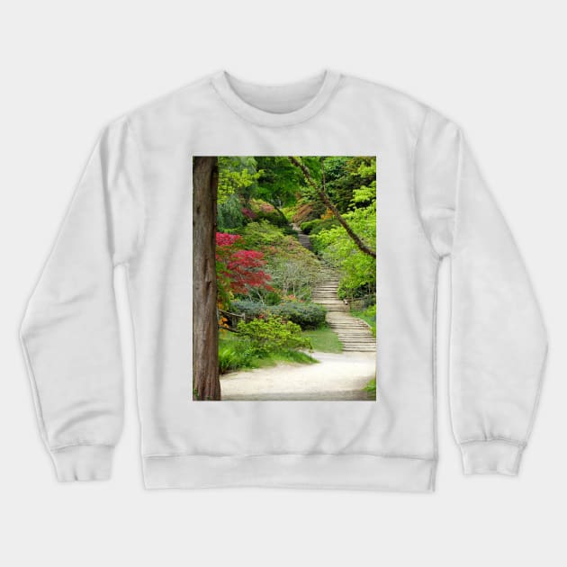 Steps on a footpath Crewneck Sweatshirt by pinkal